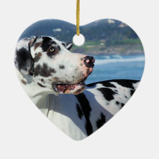 Deutsche Dogge - Harlekin - Phantom Keramik Ornament (Hinten)