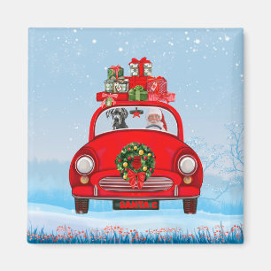 Deutsche Dogge im Auto mit dem Weihnachtsmann Magnet