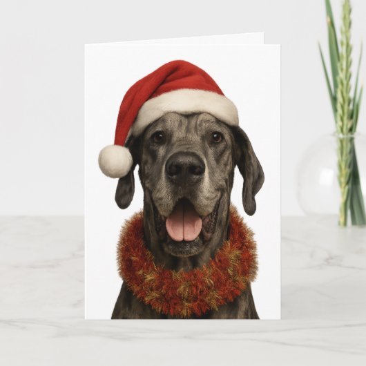 Deutsche Dogge in einer Weihnachtsmannmütze Weihna Karte (Vorderseite)