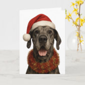 Deutsche Dogge in einer Weihnachtsmannmütze Weihna Karte (Gelbe Blume)