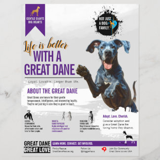Deutsche Dogge Informationsflyer Flyer