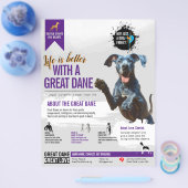 Deutsche Dogge Informationsflyer  Flyer (Einzeln)