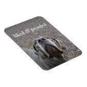 Deutsche Dogge Magnet (Rechte Seite)