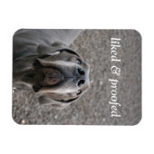Deutsche Dogge Magnet (Horizontal)