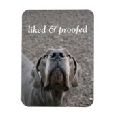 Deutsche Dogge Magnet (Vertikal)