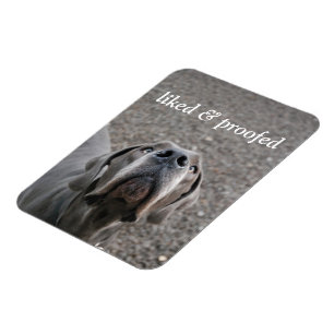 Deutsche Dogge Magnet