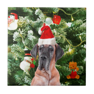 Deutsche Dogge mit Weihnachtsbaum-Geschenkboxen un Fliese