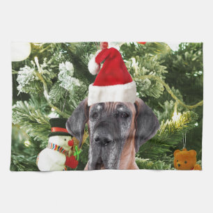 Deutsche Dogge mit Weihnachtsbaum-Geschenkboxen un Küchentuch