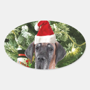 Deutsche Dogge mit Weihnachtsbaum-Geschenkboxen un Ovaler Aufkleber
