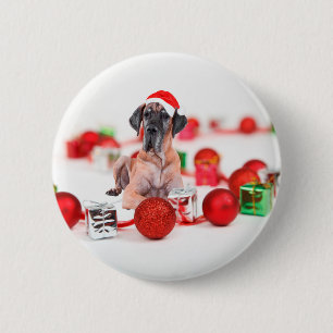 Deutsche Dogge mit Weihnachtsdekoration Geschenke Button