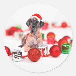 Deutsche Dogge mit Weihnachtsdekoration Geschenke Runder Aufkleber