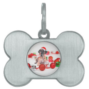 Deutsche Dogge mit Weihnachtsdekoration Geschenke Tiermarke