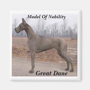 Deutsche Dogge, Modell des Adel-Magneten Magnet