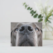 Deutsche Dogge Postkarte (Stehend Vorderseite)