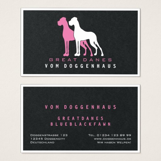 Deutsche Dogge rein (Vorne & Hinten)