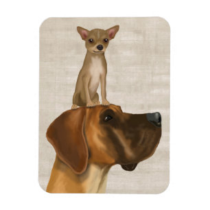 Deutsche Dogge und Chihuahua 2 Magnet