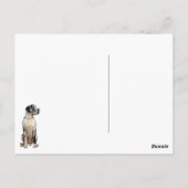 Deutsche Dogge wartet auf dich  Postkarte (Rückseite)