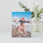 Deutsche Dogge Weihnachten (Stehend Vorderseite)