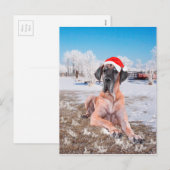 Deutsche Dogge Weihnachten (Vorne/Hinten)