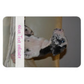 Deutsche Doggen Magnet (Horizontal)