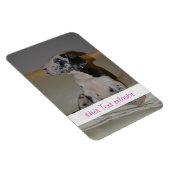 Deutsche Doggen Magnet (Rechte Seite)