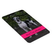 Deutsche Doggen Magnet (Rechte Seite)