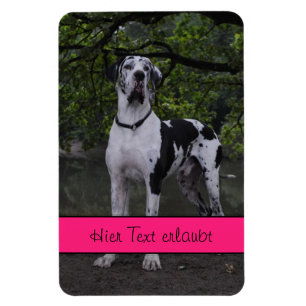 Deutsche Doggen Magnet