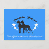 Deutsche Doggen Postkarte (Vorderseite)