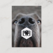 Deutsche Doggen Visitenkarten Visitenkarte (Rückseite)