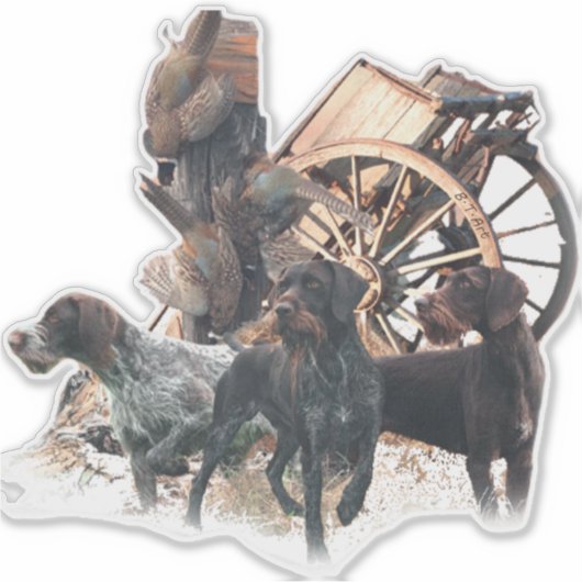 Deutsche Drahthaar Pointer Aufkleber (Vorderseite)