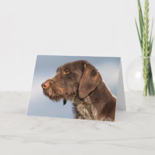 Deutsche Drahthaar Pointer Dog Card Karte