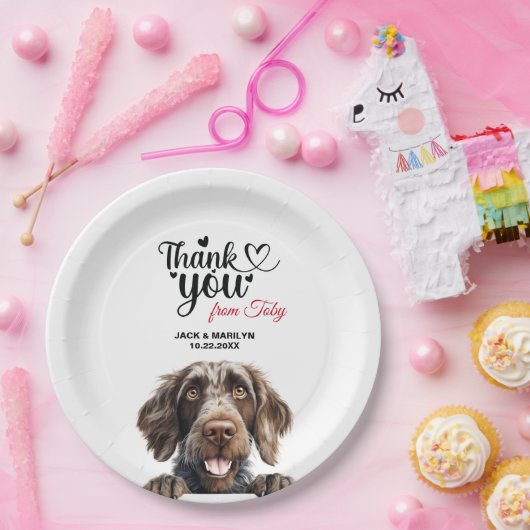 Deutsche Drahthaar Pointer Dog Hochzeitsempfang Pappteller (Party)