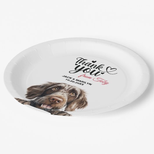 Deutsche Drahthaar Pointer Dog Hochzeitsempfang Pappteller (Schrägansicht)