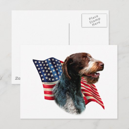 Deutsche Drahthaar Pointer Flag Postkarte (Vorne/Hinten)