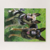 DEUTSCHE FRAU SHEPHERD PUZZLE (Horizontal)