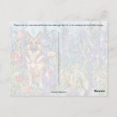 Deutsche Hirte Postübergabe - Postkarte (Rückseite)