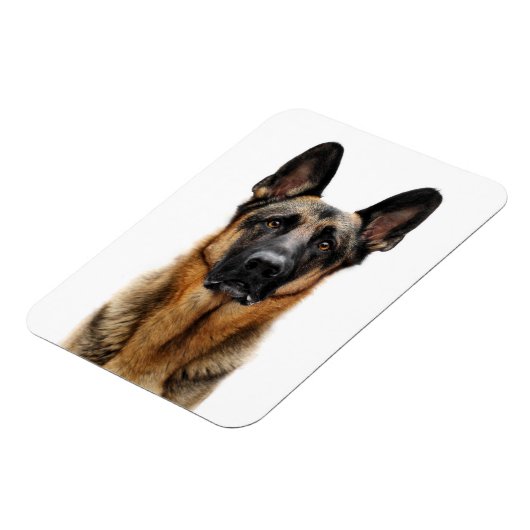 Deutsche Hirte sitzen Magnet (Linke Seite)