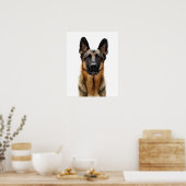 Deutsche Hirte sitzen Poster (Küche)