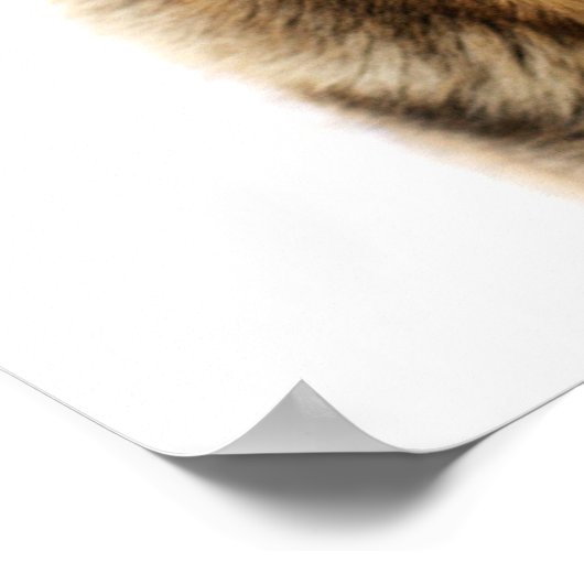 Deutsche Hirte sitzen Poster (Ecke)