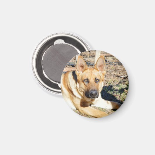 Deutsche Hirte Weckte auf, Magnet (Vorderseite/Rückseite)