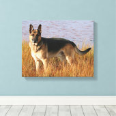 Deutsche Hirte Wrapped Canvas Print Leinwanddruck (Insitu (Holzboden))