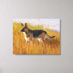 Deutsche Hirte Wrapped Canvas Print Leinwanddruck