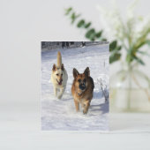 Deutsche Hirten, die im Schnee laufen Postkarte (Stehend Vorderseite)