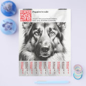 Deutsche Hirten Welpen zum Verkauf Flyer (Einzeln)