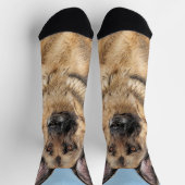 Deutsche Hirtenmalerei - Niedliche Original Hunde- Socken (Oben)