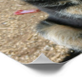 Deutsche Hirtenpuppy Poster (Ecke)