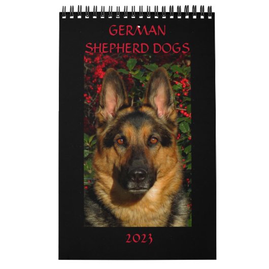 DEUTSCHE HUNDE - Single Page Calendar Kalender (Titelbild)
