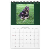 DEUTSCHE HUNDE - Single Page Calendar Kalender (Mär 2026)