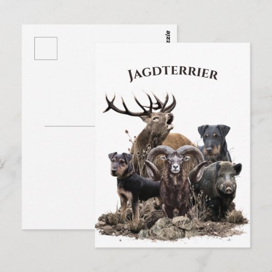 Deutsche Jagdterrier Postkarte (Vorne/Hinten)