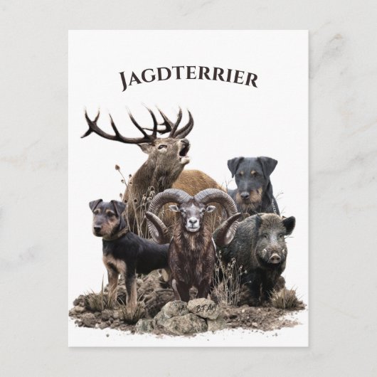 Deutsche Jagdterrier Postkarte (Vorderseite)